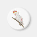 Search for parrot magnets Funny