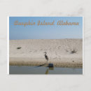 Search for herons postcards Ocean