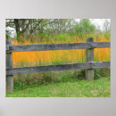 Search for fence posts Old