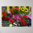 Search for garden fence posters Flower