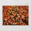 Search for bright red postcards Outdoors