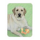 Search for labradors magnets Yellow