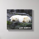 Search for lazy canvas prints Sleepy