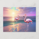 Search for flamingo beach postcards Ocean