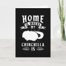 Search for chinchilla cards Pet