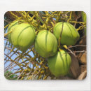 Search for coconuts mouse mats Fruit