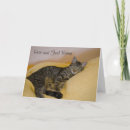 Search for black kitty cat cards Tabby