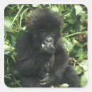 Search for gorilla stickers Baby
