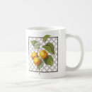 Search for apricots mugs Nature
