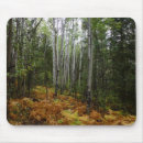 Search for mountain mouse mats Forest