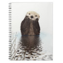Search for otter notebooks Adorable