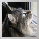 Search for cat profile art Cute