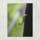 Search for worm postcards Bug