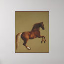 Search for tail art Horse