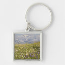 Search for mt baker Landscape
