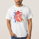 Search for heart label tshirts Anatomy