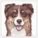Search for australian shepherd stickers Puppy
