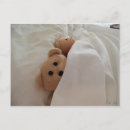 Search for teddy bear stamp postcards Sleeping