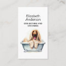 Search for hound business cards Watercolor