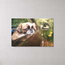 Search for purebred art Domestic animals
