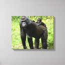 Search for infant canvas prints Gorilla