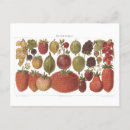 Search for fruit painting postcards Plant