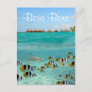 Search for shark postcards Souvenir
