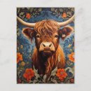 Search for highland cattle postcards Vintage