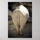 Search for rhino poster posters Cute