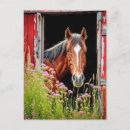 Search for red wood postcards Country