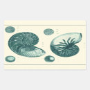 Search for seashell painting stickers Sea life