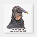 Search for vulture magnets Wildlife