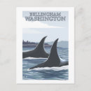 Search for bellingham postcards Original