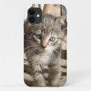 Search for baby tiger iphone cases Cat