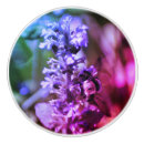 Search for bee knobs and pulls Nature