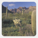 Search for pipe organ stickers Desert