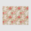 Search for shabby tissue paper Grunge