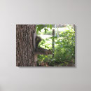 Search for squirrell canvas prints Squirrels