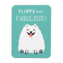 Search for fluffy white magnets Dog