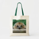 Search for hedgehog tote bags Mammal