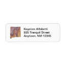 Search for new mexico return address labels America