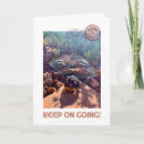 Search for spur cards African spurred tortoise