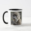 Search for the nut mugs Wildlife