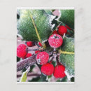Search for frosty postcards Nature