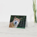 Search for shiba inu birthday cards Doge