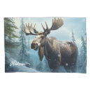 Search for winter pillowcases Landscape