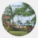 Search for cozumel stickers Tropical