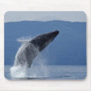 Search for humpback mouse mats Outdoors