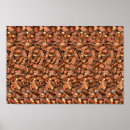 Search for squirrel posters Nut