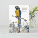 Search for macaws cards Colourful